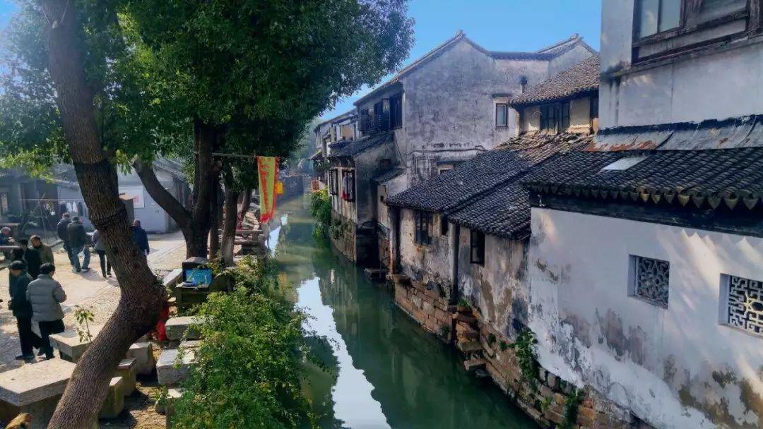 工作20年大厨:做鲫鱼汤时,千万别用错“水”,否则腥味重还难喝
